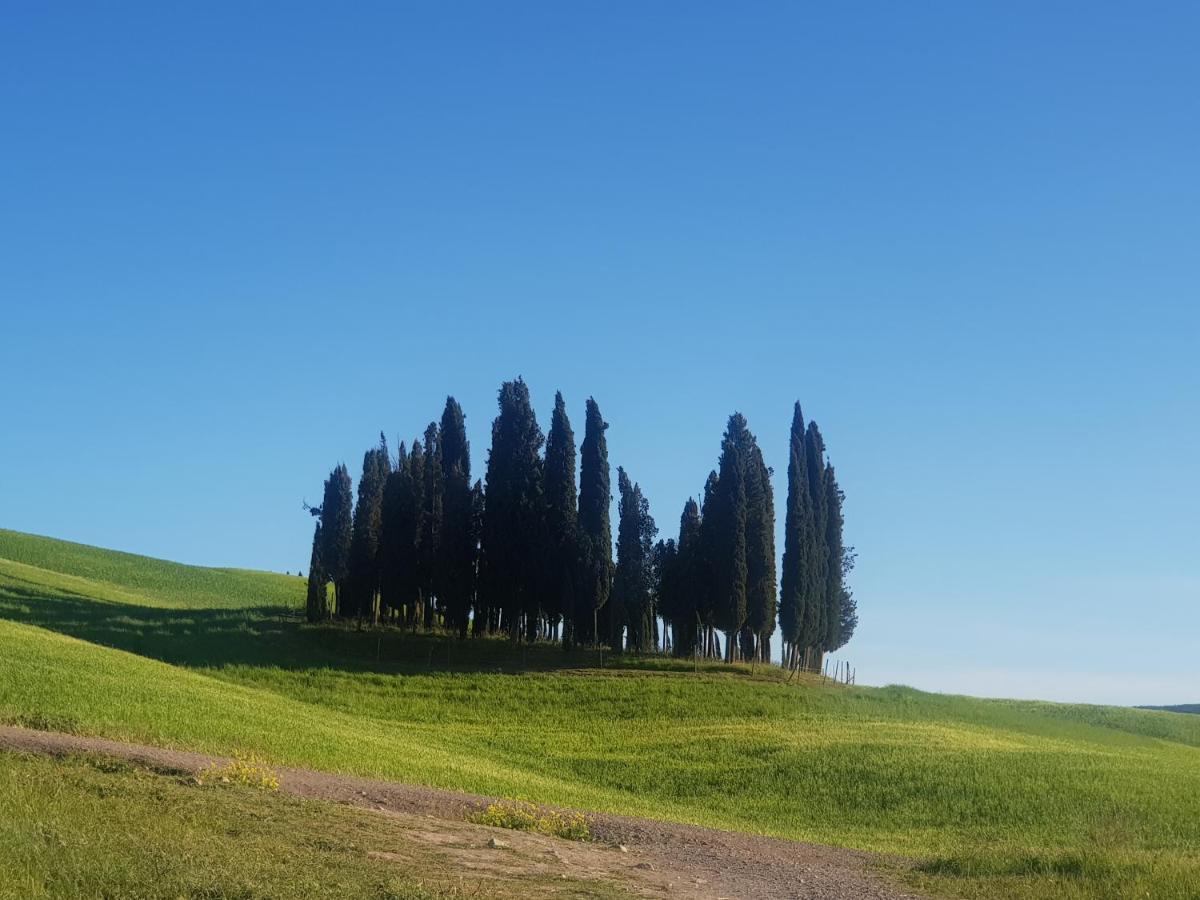 Готель Dimora In Francigena Сан-Куїрико-д'Орча Екстер'єр фото